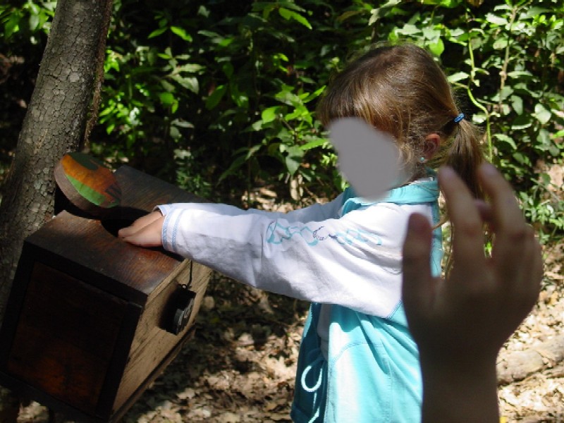 Educazione ambientale: l''uso dei cinque sensi